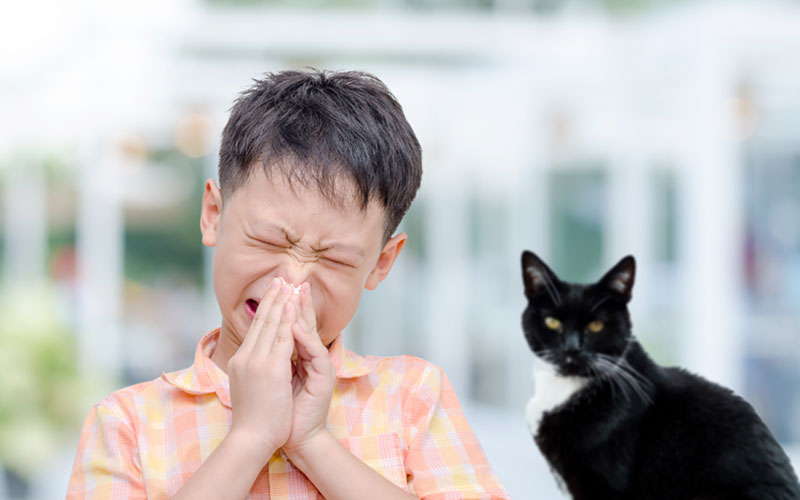 Are You Allergic to Your Pet?